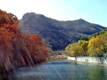 养殖场热水器排名TOP10，优质选择一览