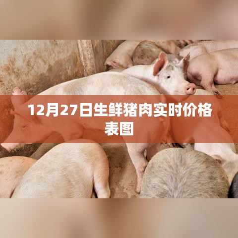 12月27日生鲜猪肉实时价格表全新发布