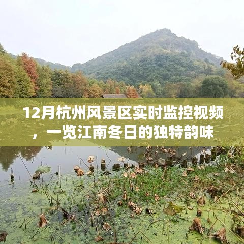 杭州风景区冬令实时监控视频欣赏，江南韵味尽在眼前