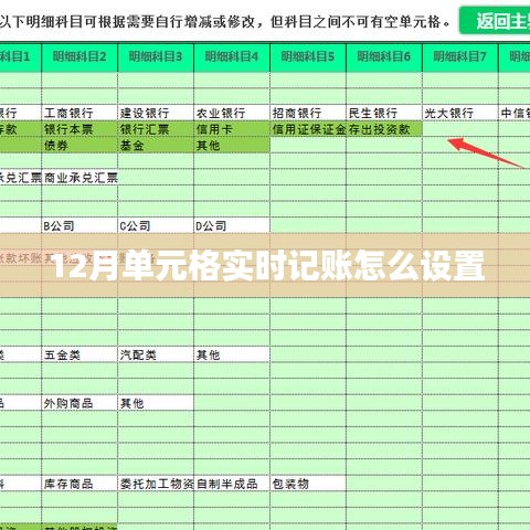 12月实时记账设置，单元格内轻松操作指南