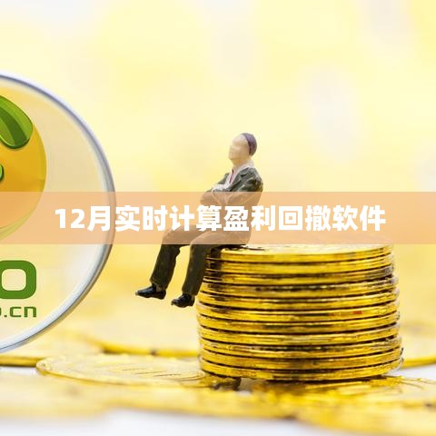 实时计算盈利回撤软件最新动态，12月表现如何？