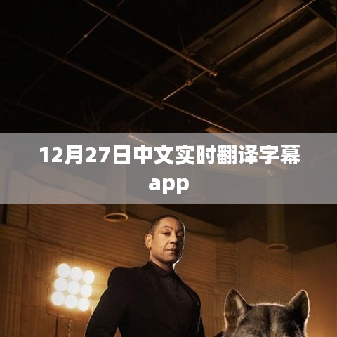 实时翻译字幕app 12月27日使用指南