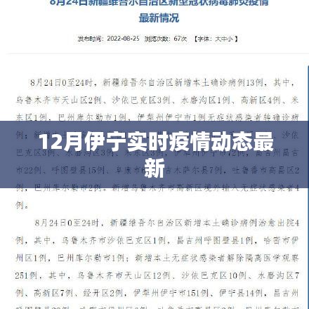 伊宁最新实时疫情动态更新