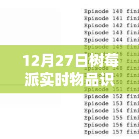 树莓派实时物品识别技术揭秘