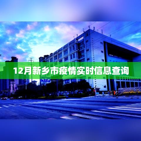 新乡市疫情实时查询数据更新中