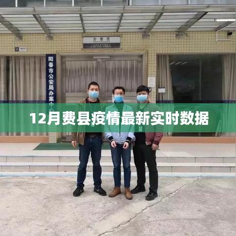 费县疫情最新实时数据报告（12月版）