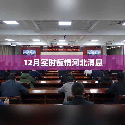 河北最新疫情实时消息通报