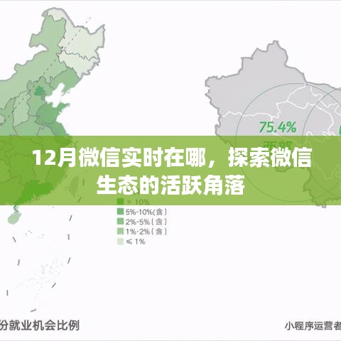 微信生态活跃角落揭秘，12月实时热点追踪