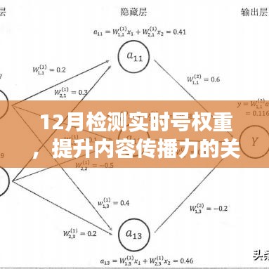 实时号权重检测，提升内容传播力的秘诀