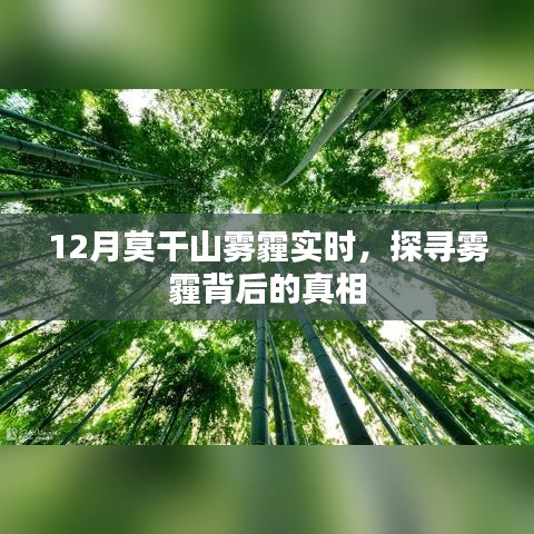 莫干山12月雾霾真相探寻