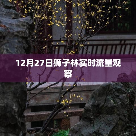 狮子林实时流量观察，探访数据背后的故事