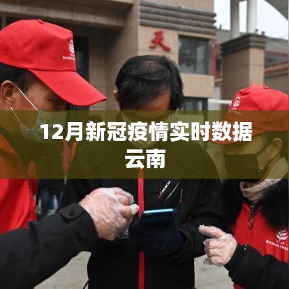 云南新冠疫情实时数据报告