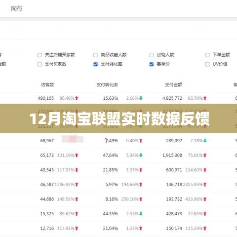 淘宝联盟12月实时数据反馈解析