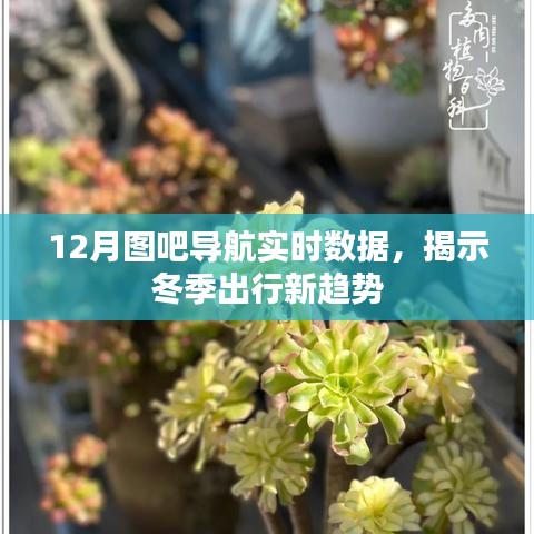 冬季出行新趋势，图吧导航实时数据解析