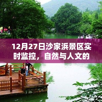 沙家浜景区12月27日实时观察，自然与人文的和谐共融