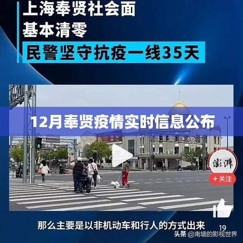 奉贤区疫情实时更新信息（12月版）