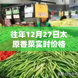 太原香菜实时价格查询往年趋势分析