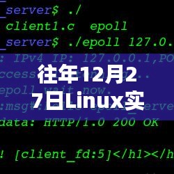 Linux实时显示特定端口连接数的统计方法