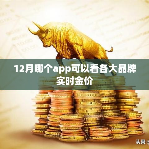 新闻动态 第149页