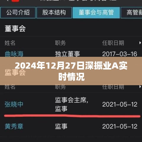 深振业A 2024年12月27日最新动态