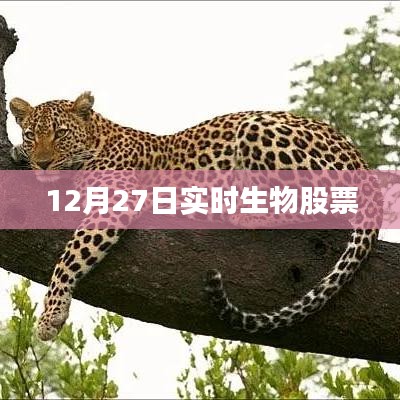 实时生物股票行情分析（最新动态）