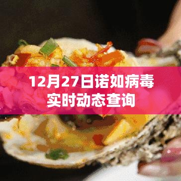 诺如病毒实时动态查询（最新更新）
