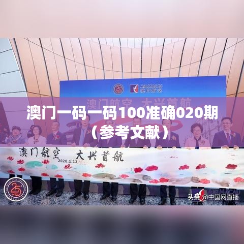 澳门一码一码100准确020期（参考文献）