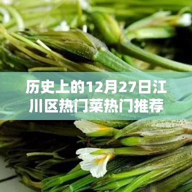 江川区12月27日历史热门菜推荐