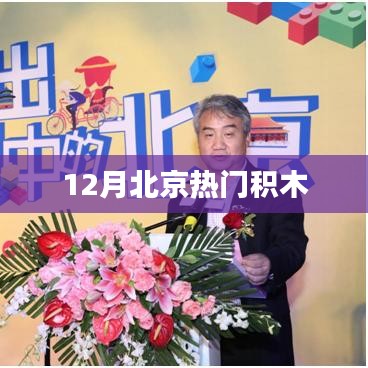 北京十二月积木热潮