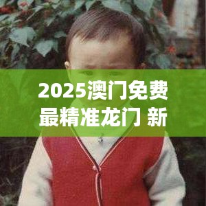 2025澳门免费最精准龙门 新时代的科技旅游体验