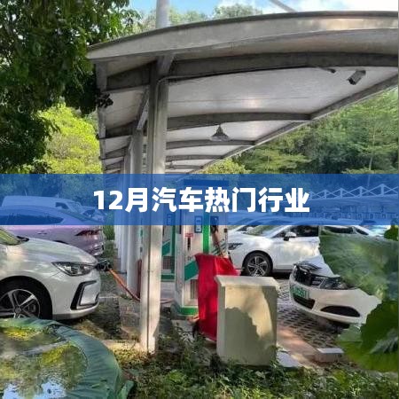 汽车行业的热门趋势（12月）