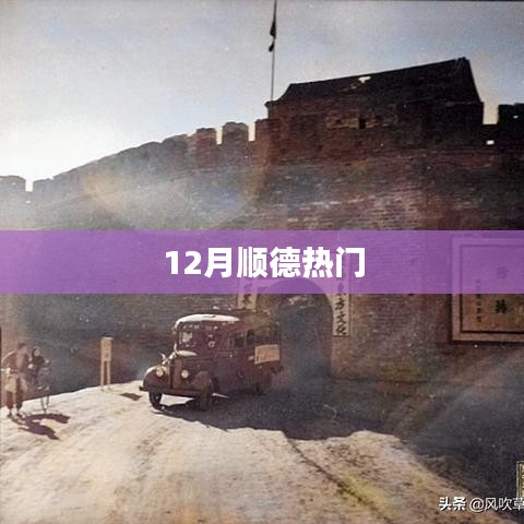 顺德十二月活动热潮