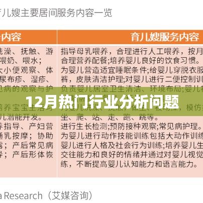 12月热门行业趋势深度解析