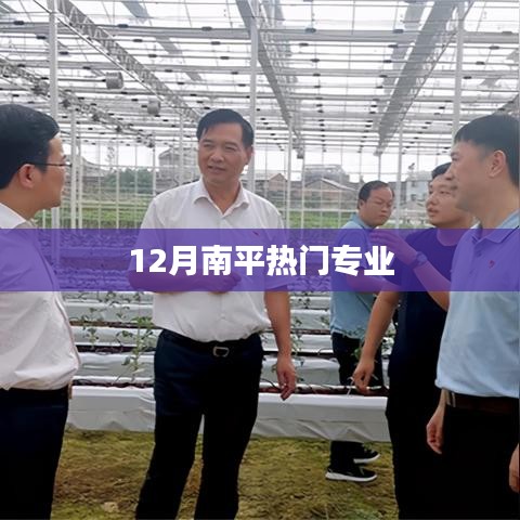 南平十二月热门专业榜单