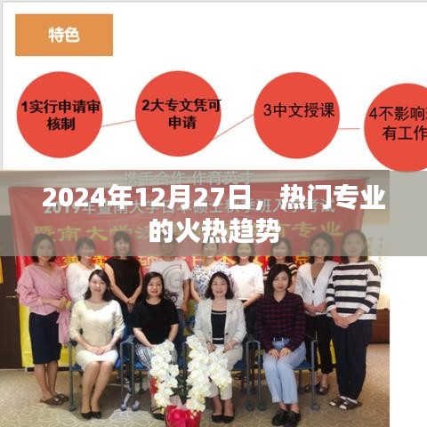 热门专业趋势展望，2024年12月27日火热趋势分析