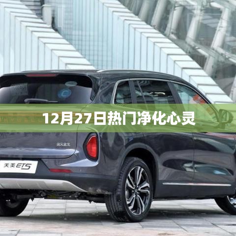 成功案例 第139页