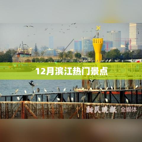 12月滨江必游热门景点