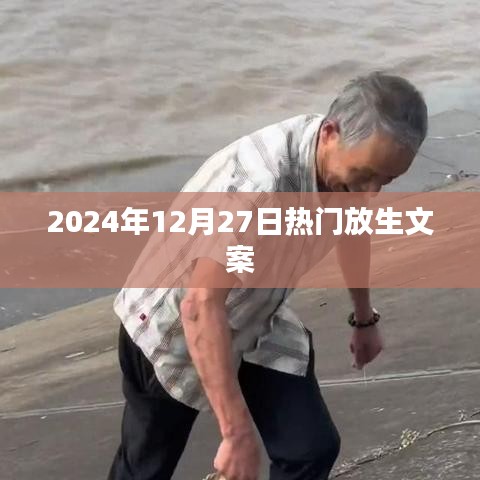 『2024年12月27日热门放生祈愿文案』