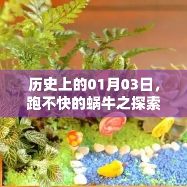 探索系列第十篇，历史上的蜗牛步伐与成长故事
