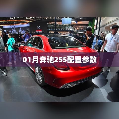 奔驰255配置参数详解