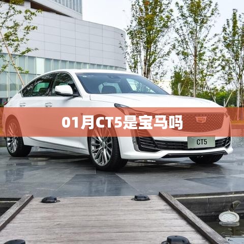 建议如下，，CT5一月新款车型是否属于宝马品牌？