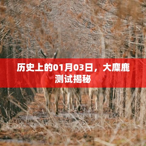 揭秘大麋鹿测试的历史，一月三日事件回顾