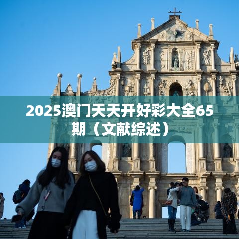 2025澳门天天开好彩大全65期（文献综述）