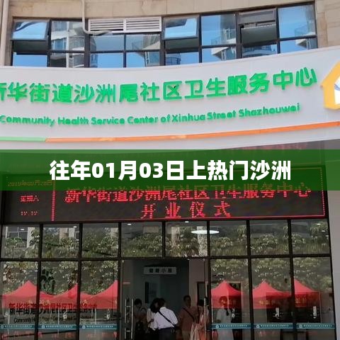 沙洲元旦后热度持续上升，成为热议焦点！