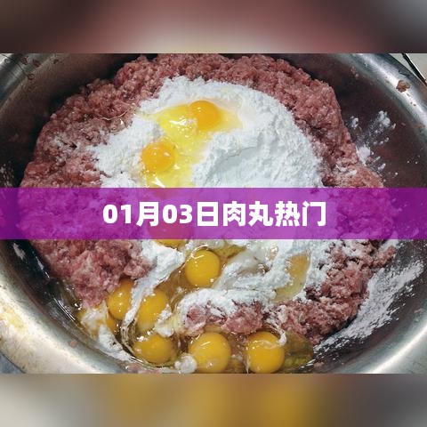 肉丸热门动态，最新消息一网打尽（日期，01月03日）