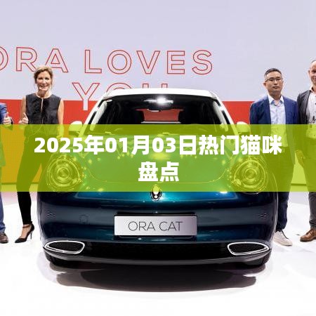 『2025年猫咪热潮盘点，新年热门猫咪一览』