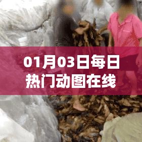 精选每日热门动图，在线观看尽享精彩时刻