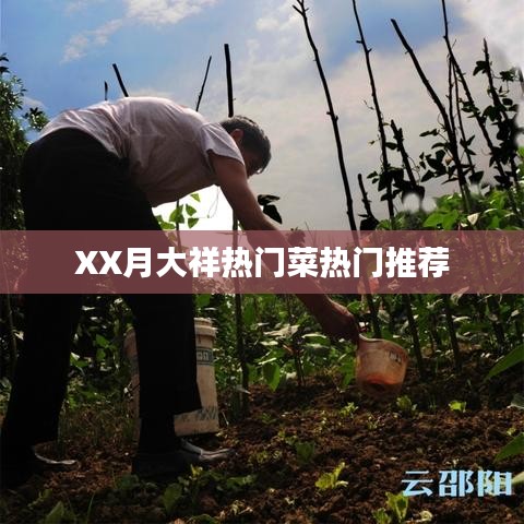 XX月大祥美食热门菜推荐