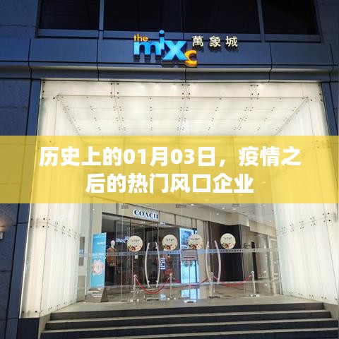 疫情后的热门风口企业揭秘，历史一月三日回顾