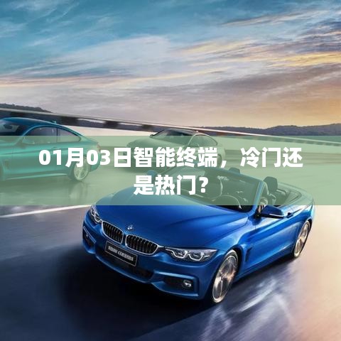 智能终端，冷门还是热门话题？